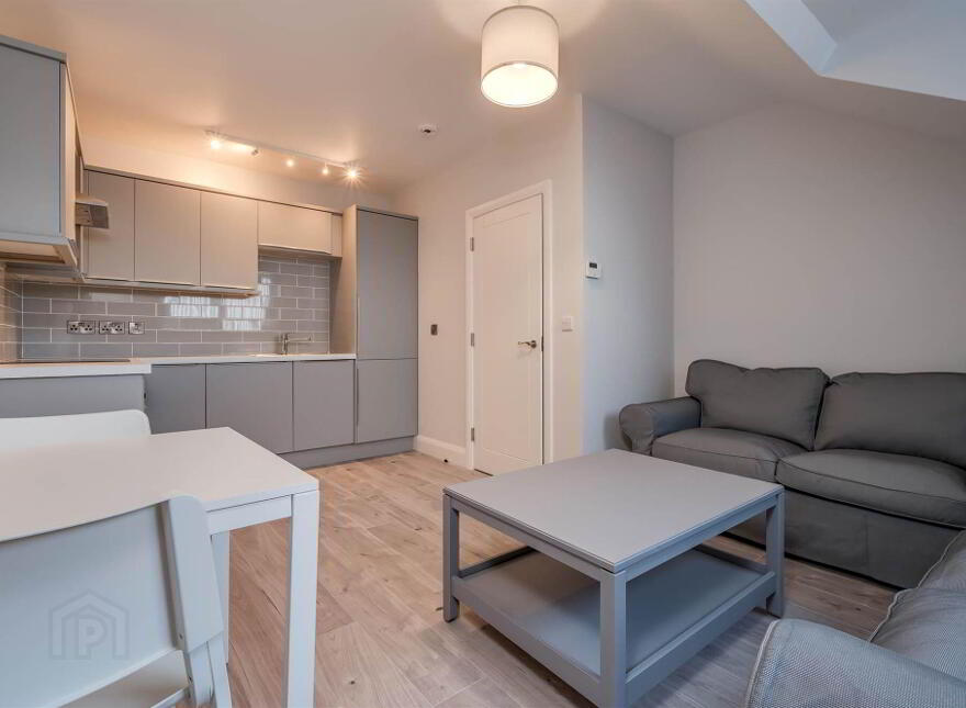 Apt 8, 41 Wellington Park, Belfast, BT9 6DN