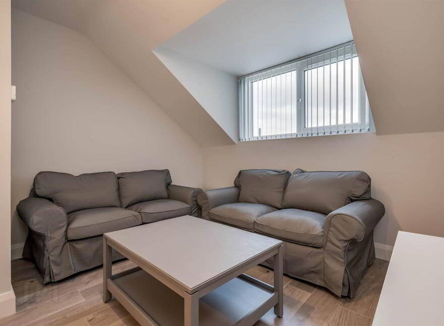 Apt 8, 41 Wellington Park, Belfast, BT9 6DN