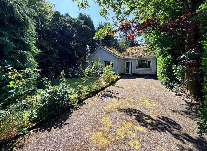 Saint Martin's Crosslee, Ballinlough Road, Ballinlough, T12VFE4