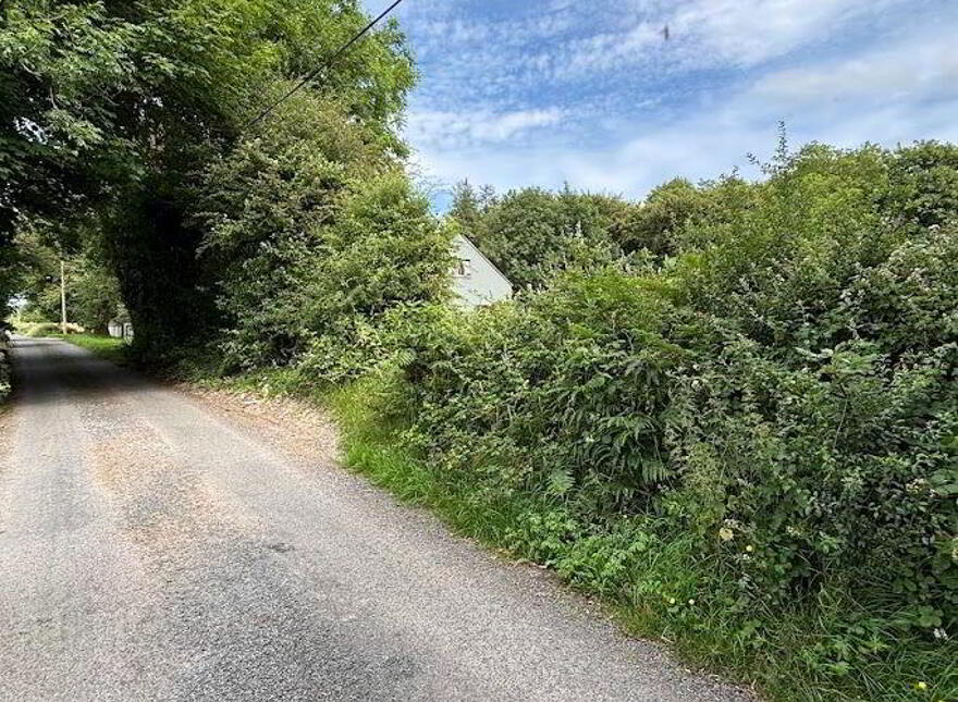 Caherloghan, Tulla