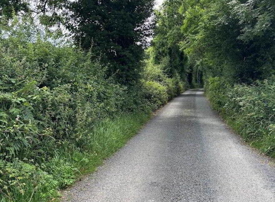 Caherloghan, Tulla
