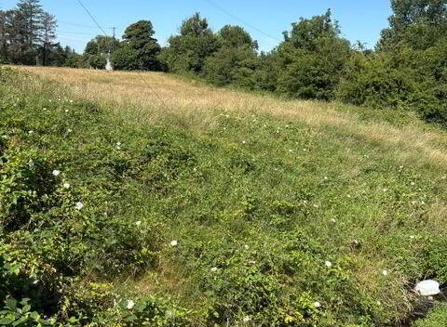 Cloonturk, Kilkelly, Aghamore, F35TF30