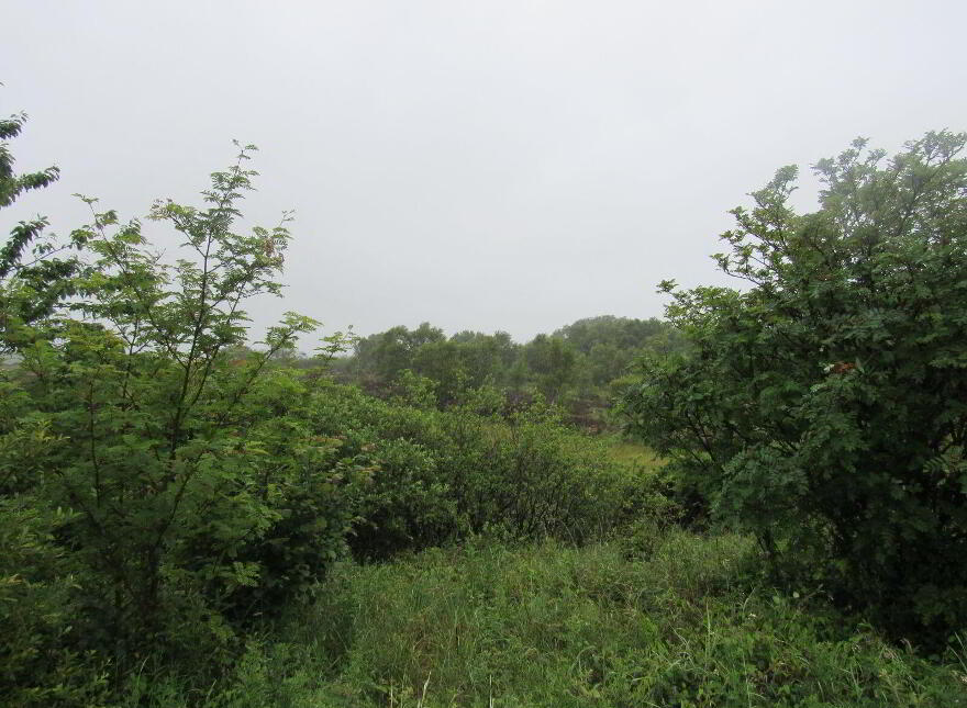 Barnahesker, Kilkelly