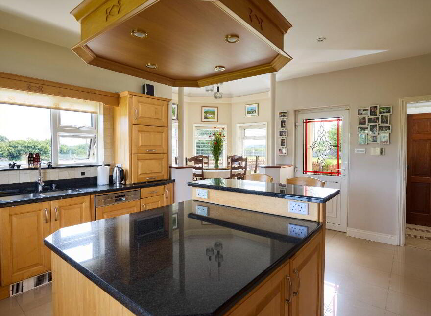 Ballymaquiggin, Ennis, V95AE40
