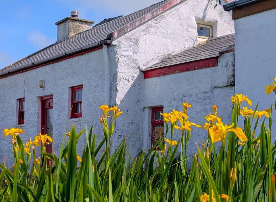 Dohilla, Valentia Island, V23YH21