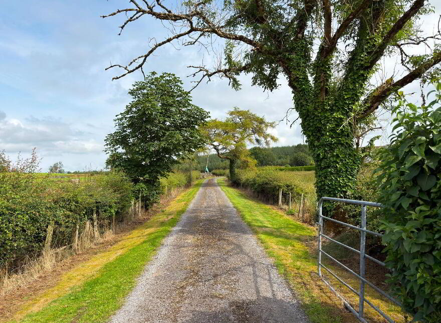 Srananagh, Sooey, F52AC96