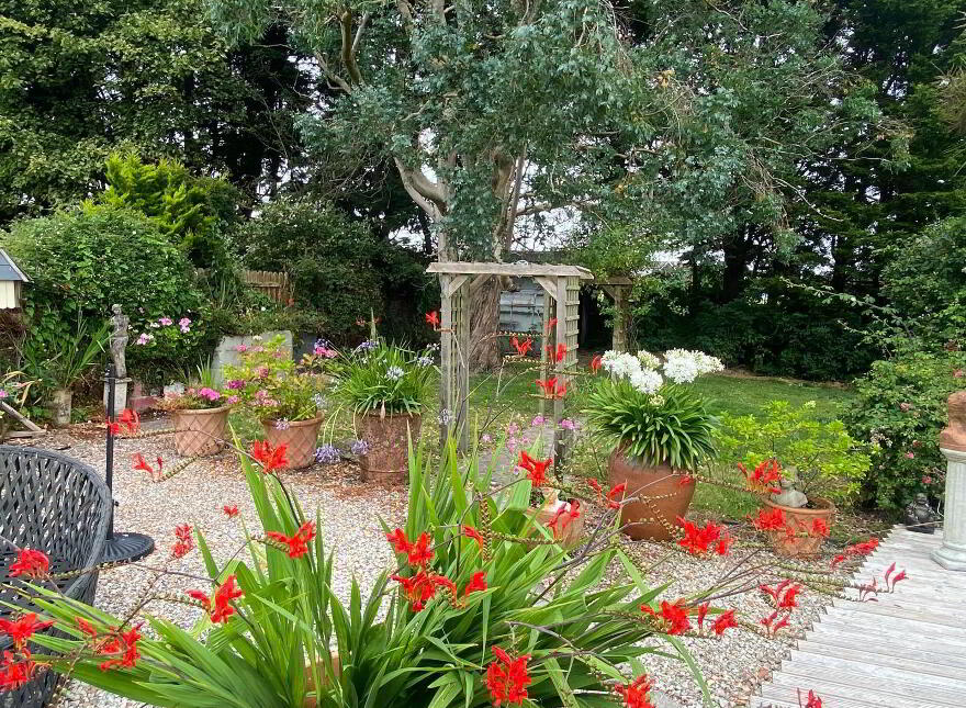 Lisaniska, Windmill Hill, Youghal, P36V489
