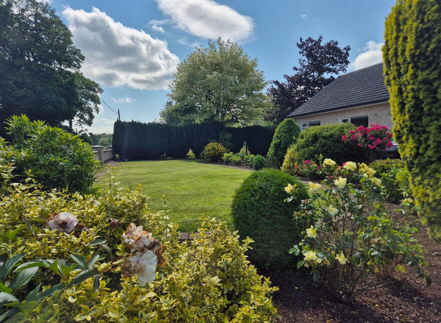 Laragh, Castleblayney, Loughmorne, A75E122