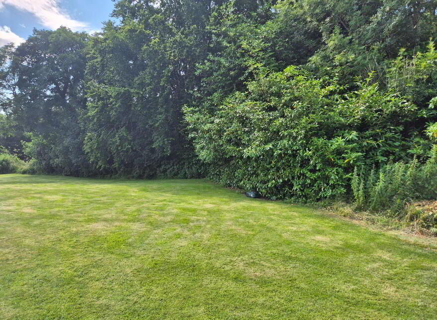 Laragh, Castleblayney, Loughmorne, A75E122
