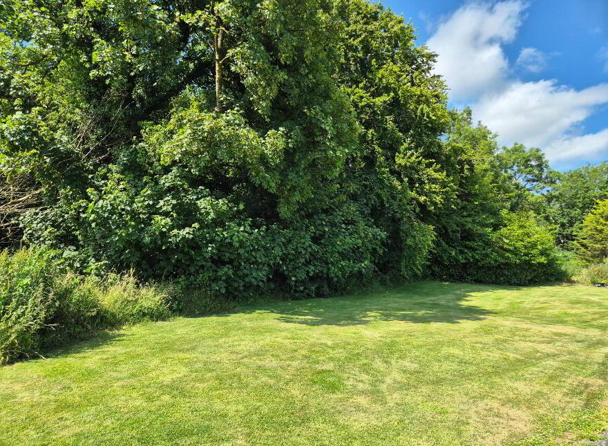 Laragh, Castleblayney, Loughmorne, A75E122