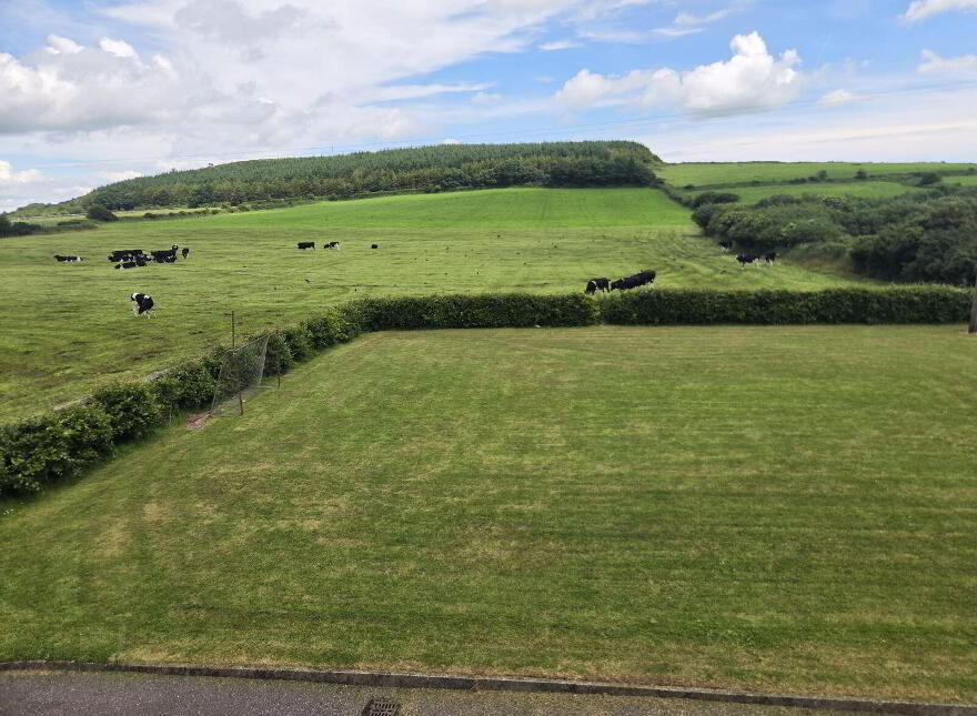 Glinny, Riverstick, P43V667