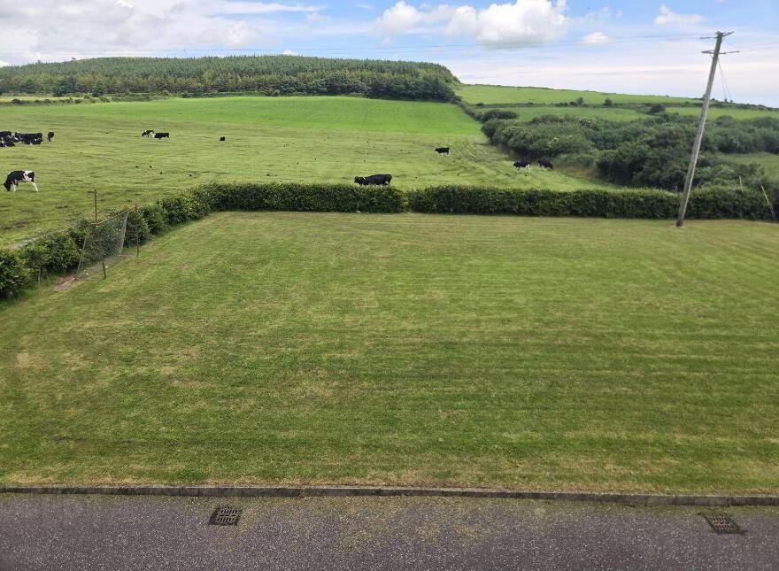 Glinny, Riverstick, P43V667