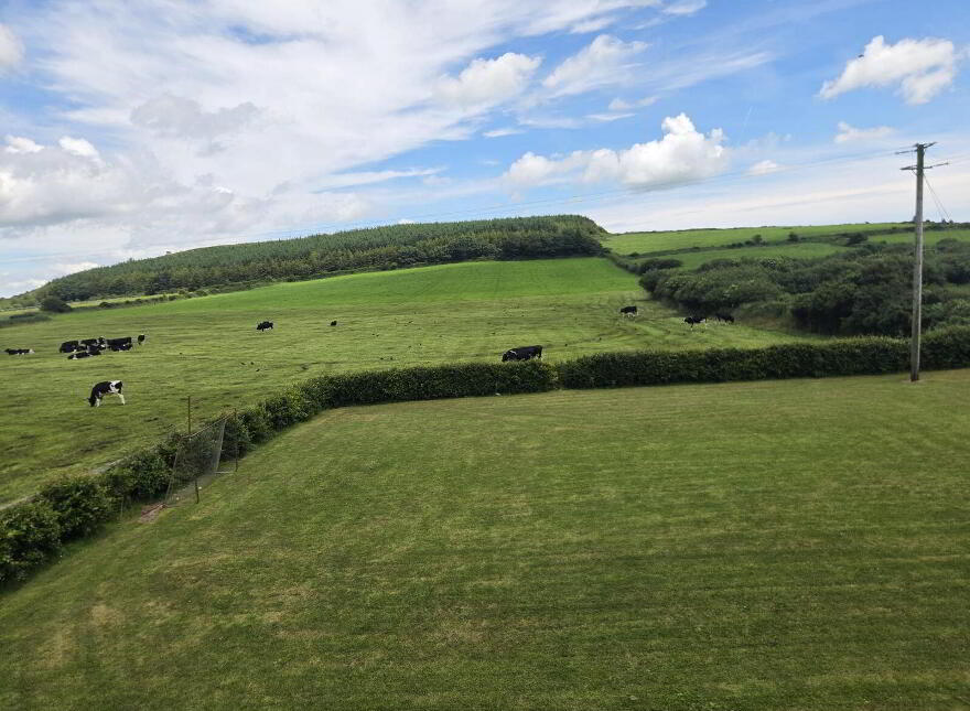 Glinny, Riverstick, P43V667