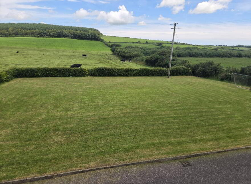 Glinny, Riverstick, P43V667