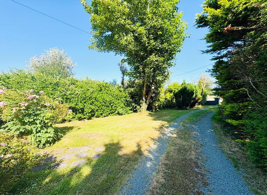 East Commons, Ardfert, V92RX81