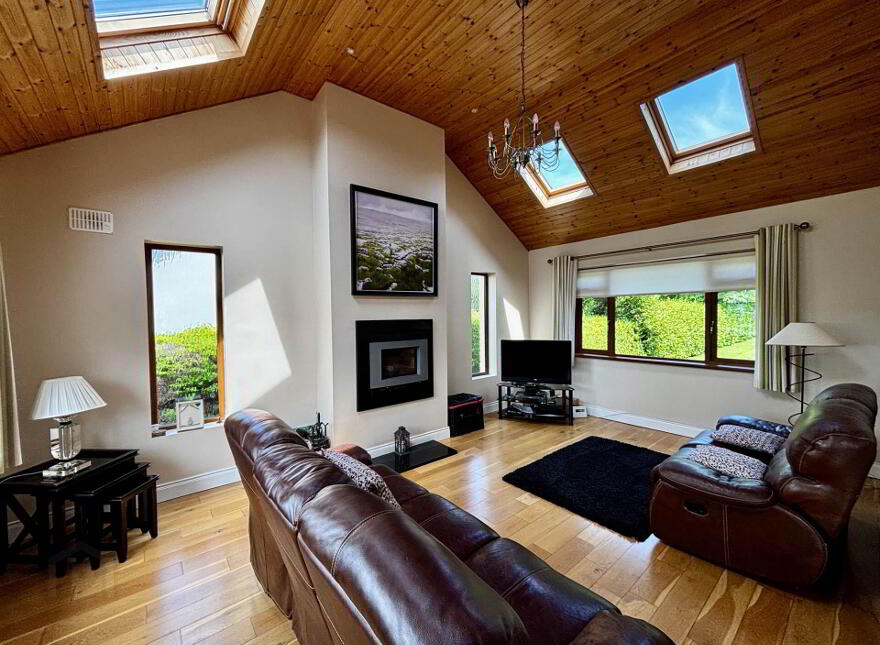Murroe Wood, Murroe, V94YKD4