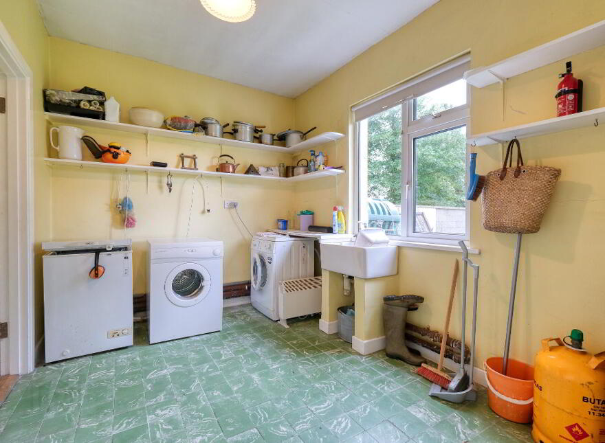 Camlin, Demesne Lane, N39C5K8