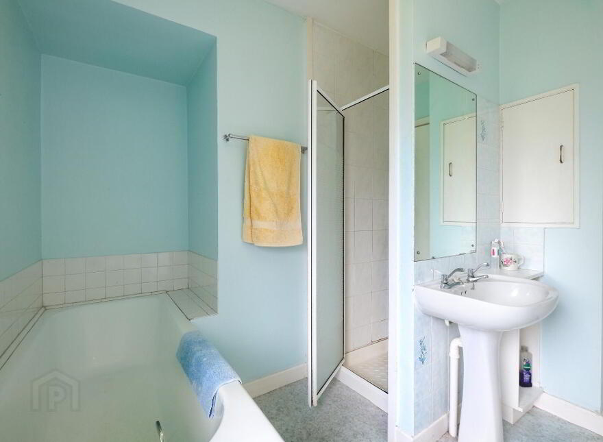 Camlin, Demesne Lane, N39C5K8