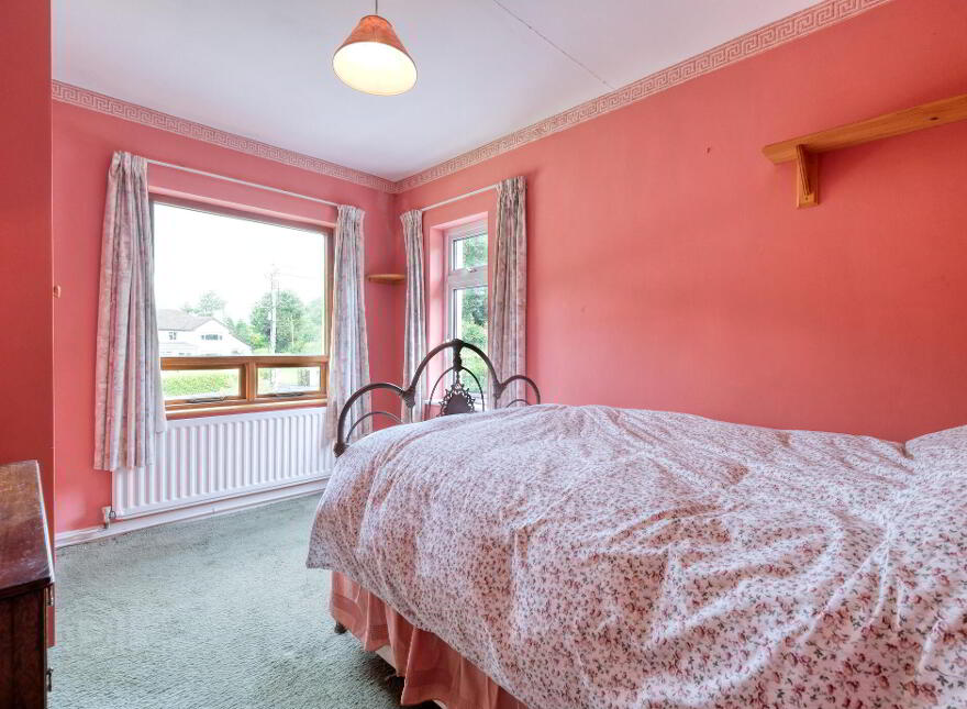 Camlin, Demesne Lane, N39C5K8
