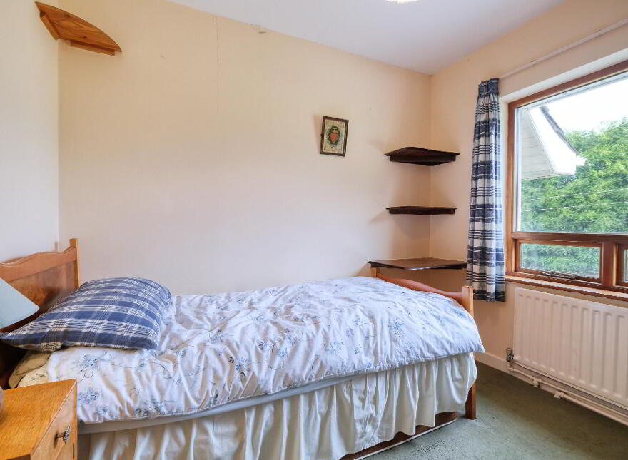 Camlin, Demesne Lane, N39C5K8