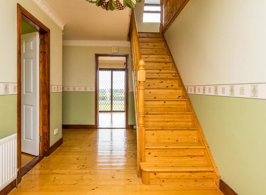 Carrownabrickna, Roscommon Town, F42PY98