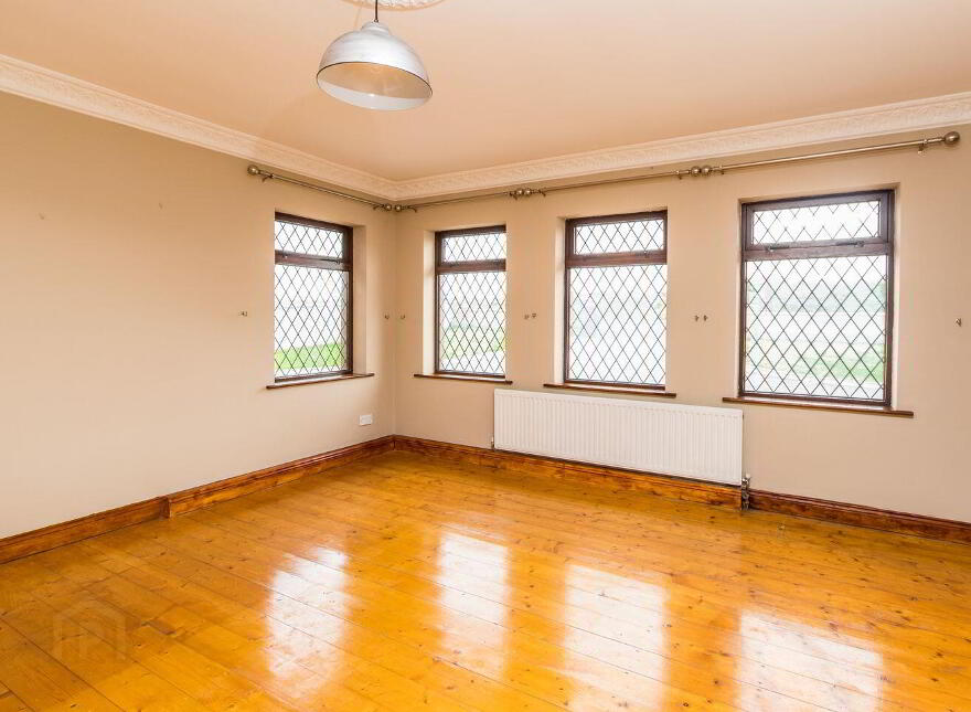 Carrownabrickna, Roscommon Town, F42PY98