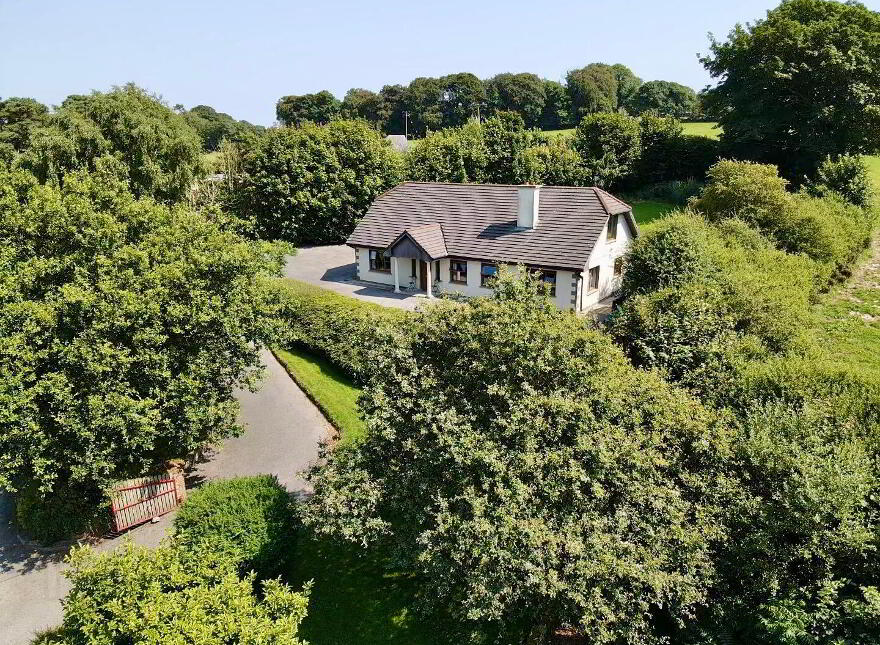 Ballylaneen, Ballylaneen, X42Y383