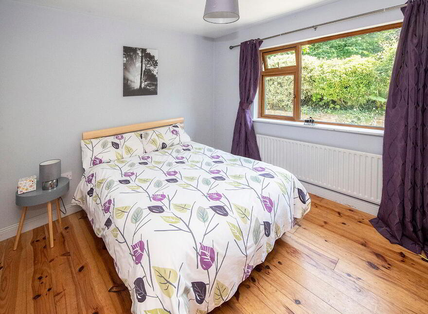 Ballylaneen, Ballylaneen, X42Y383