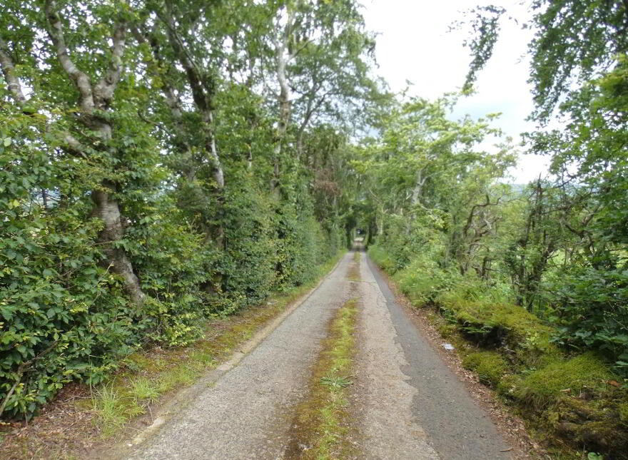 Circa 9 Acres, Of Agricultural Land Bridge Road, Dunloy, Ballymena, BT44