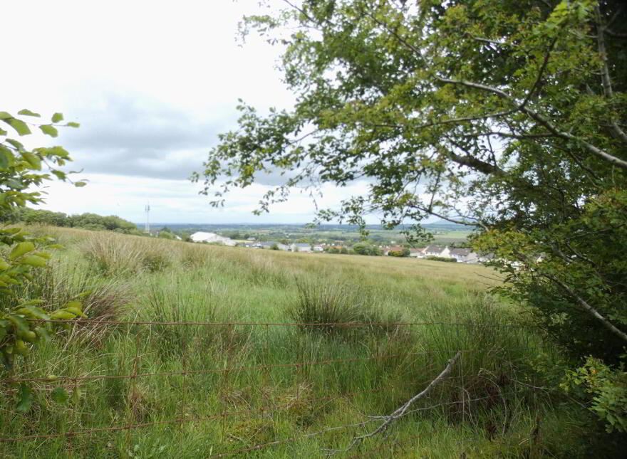 Circa 9 Acres, Of Agricultural Land Bridge Road, Dunloy, Ballymena, BT44