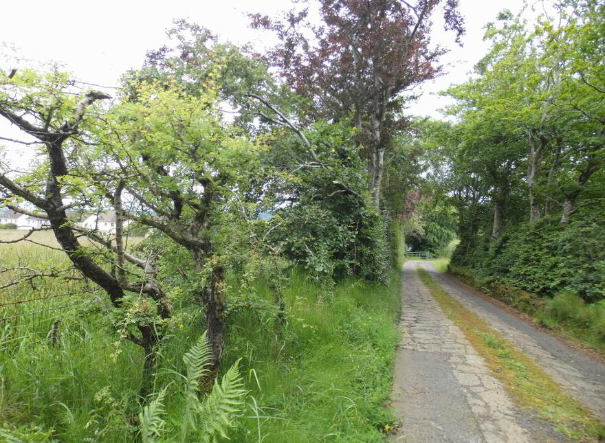 Circa 9 Acres, Of Agricultural Land Bridge Road, Dunloy, Ballymena, BT44