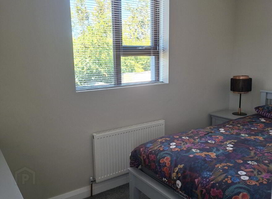 29 St Benildus, Ballyshannon, F948F21