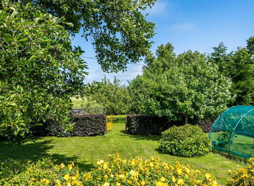 Moyne, Headford, H91AY7T
