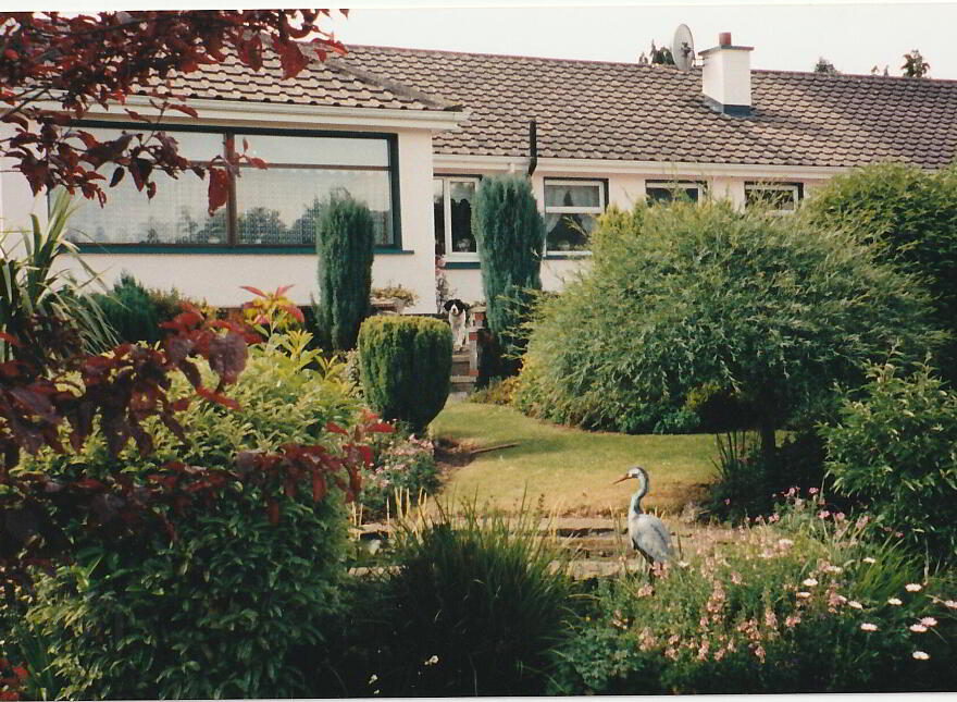 Hy-Brasil, Magherareagh, Ardfinnan, Clonmel, E91F348