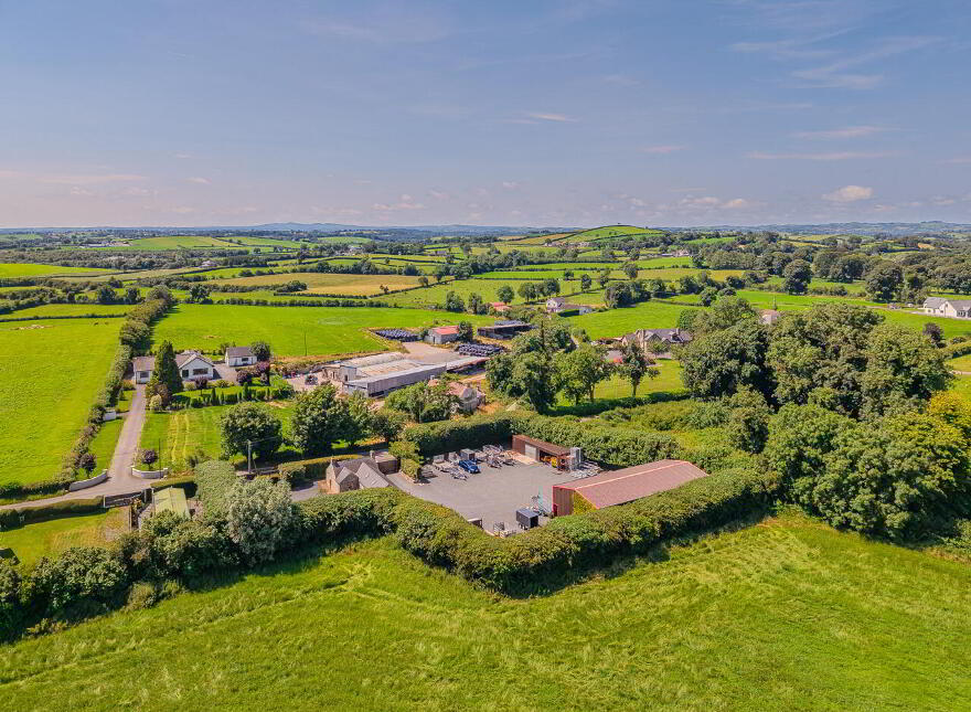 Annaghanmoney, Louth, A91DPA6