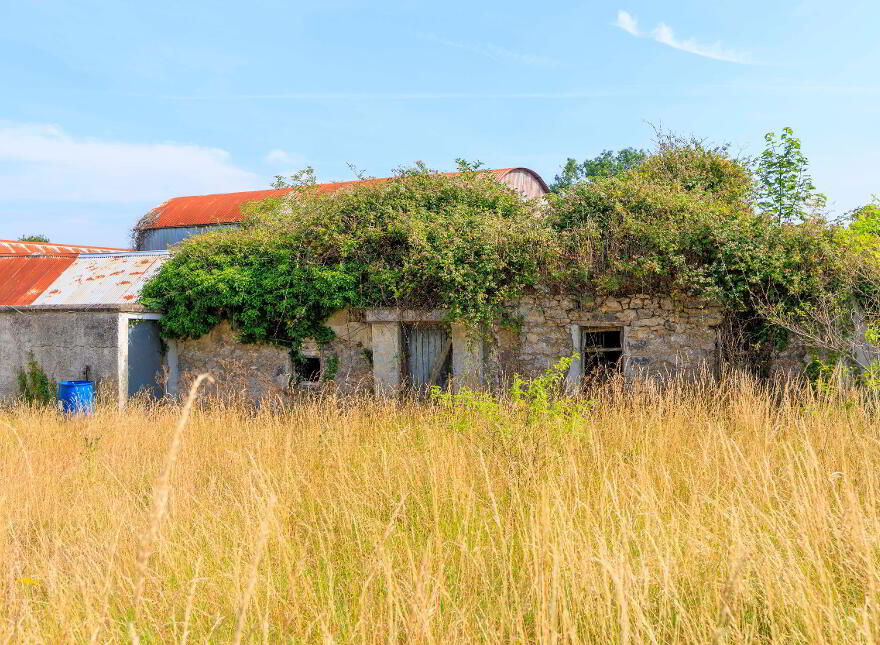 Kyle Road, Cappamore