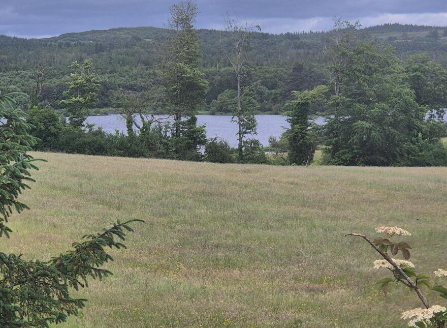 Tower Hill, Cherrymount, Tully, F94P266