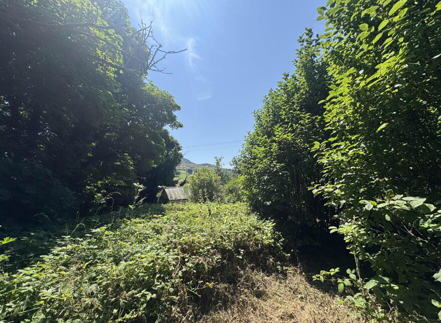 Alice Ann`s, Howe`s Lane, Omeath, A91H299
