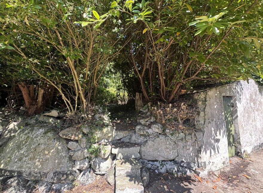 Alice Ann`s, Howe`s Lane, Omeath, A91H299