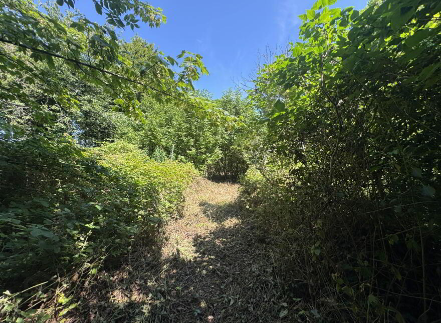 Alice Ann`s, Howe`s Lane, Omeath, A91H299