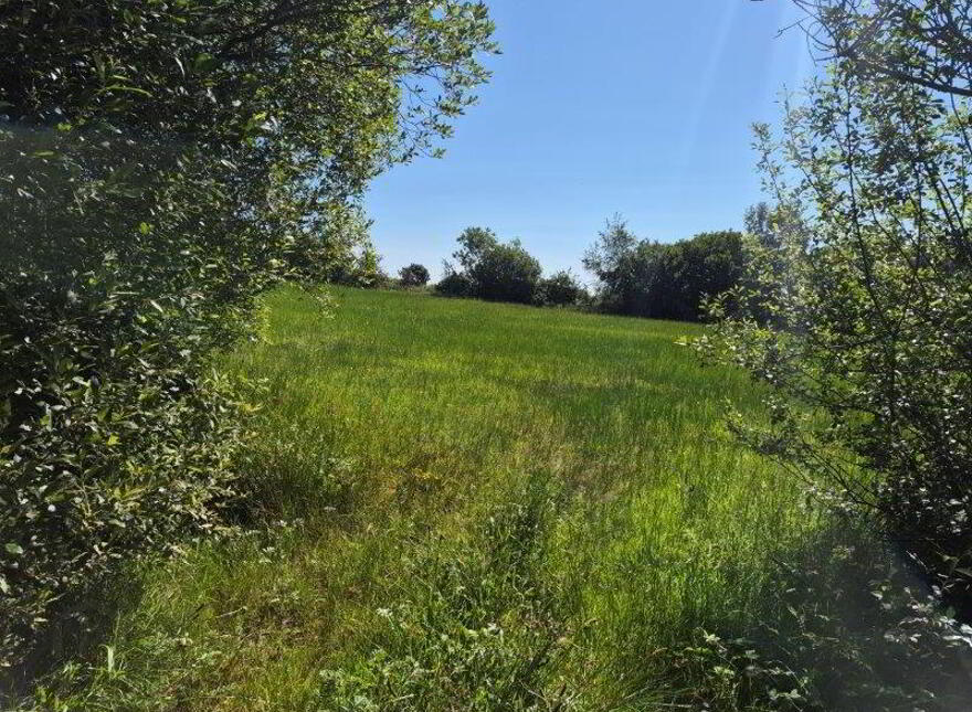 Derryherk, Via Ballyshannon