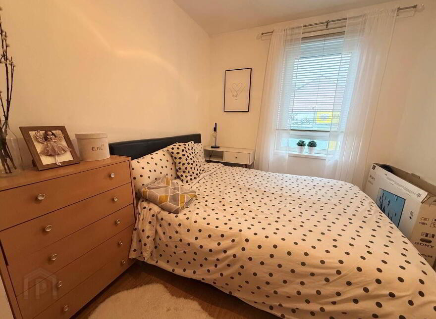 59 Euston Street, Belfast East, Belfast, BT6 9EJ