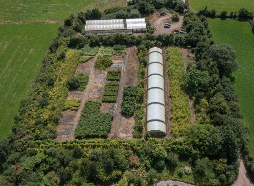 Stam's Bamboo Nursery Ltd, Ballinwillin, Lismore, P51DK12