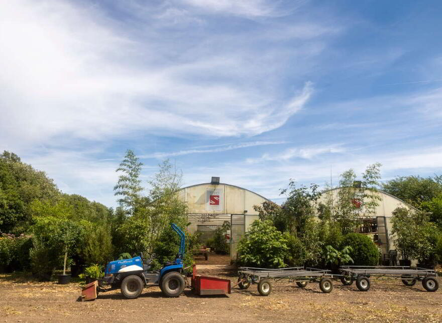 Stam's Bamboo Nursery Ltd, Ballinwillin, Lismore, P51DK12