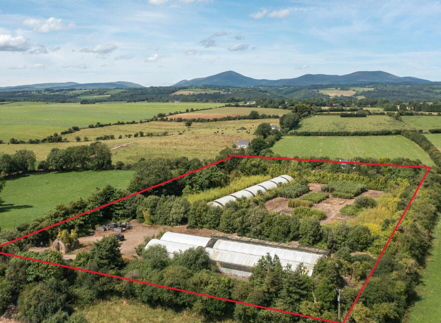 Stam's Bamboo Nursery Ltd, Ballinwillin, Lismore, P51DK12