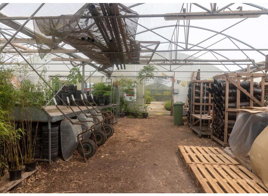 Stam's Bamboo Nursery Ltd, Ballinwillin, Lismore, P51DK12