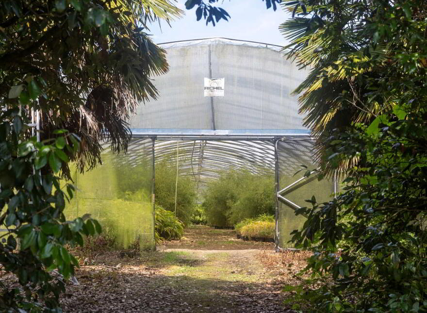 Stam's Bamboo Nursery Ltd, Ballinwillin, Lismore, P51DK12