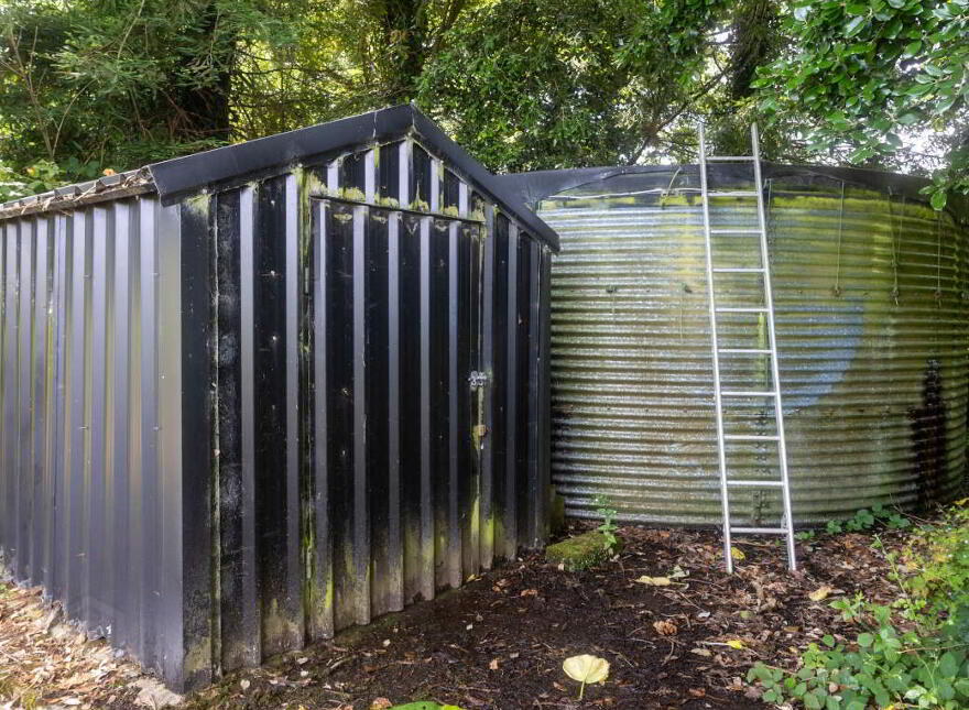Stam's Bamboo Nursery Ltd, Ballinwillin, Lismore, P51DK12
