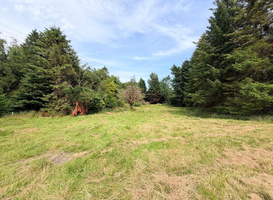 9 Station Road, Ballyward, Castlewellan, BT31 9TU
