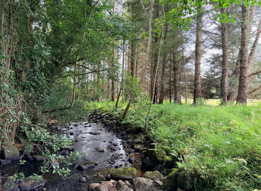 9 Station Road, Ballyward, Castlewellan, BT31 9TU